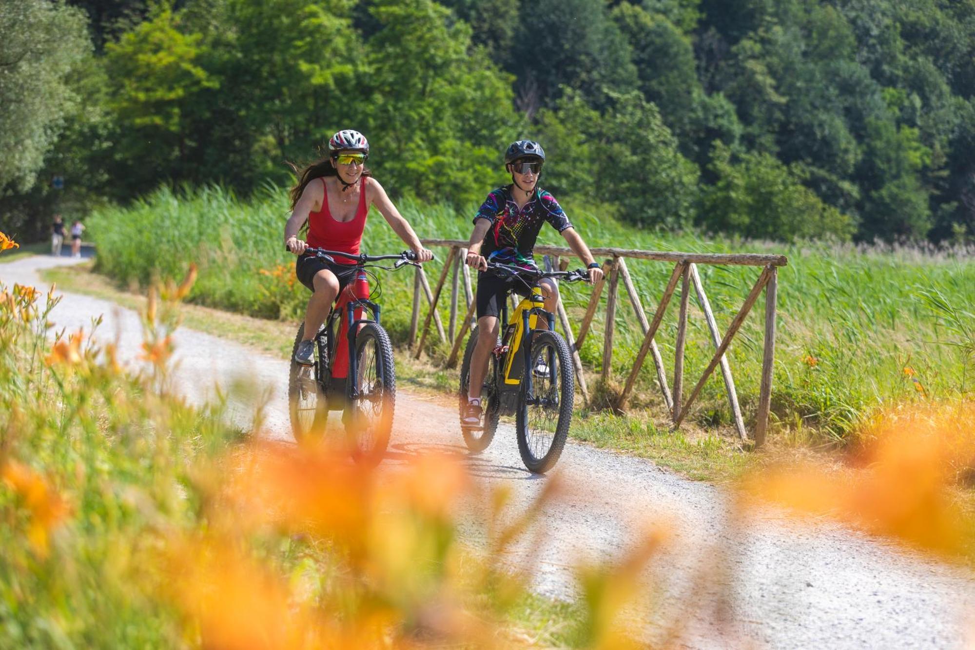 Villa Iris -Pet Friendly Stay - Garden - Private Parking- Bike Friendly Holiday House Colico Zewnętrze zdjęcie